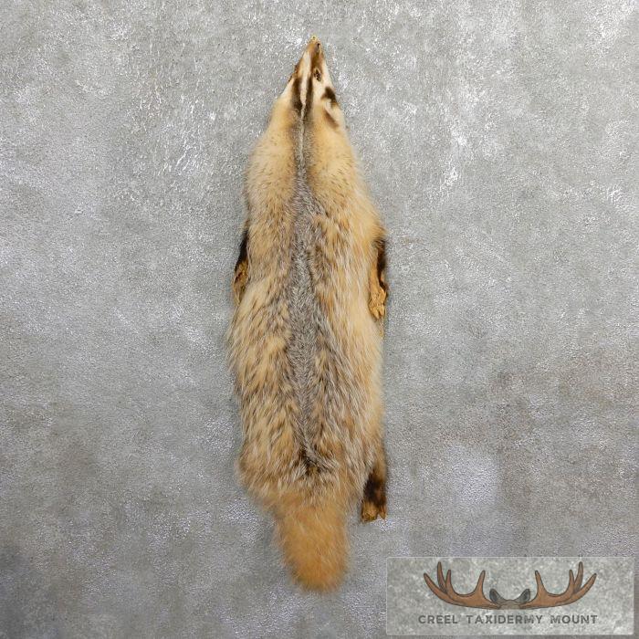 American Badger Tanned Hide For Sale