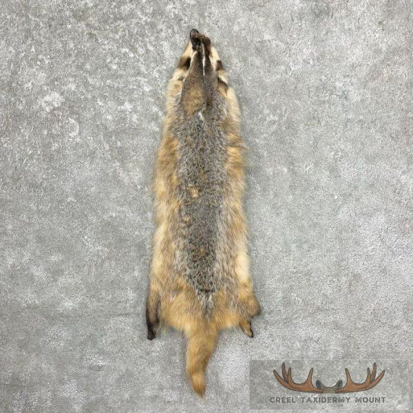 American Badger Tanned Hide For Sale