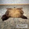 American Buffalo (Bison) Taxidermy Hide For Sale