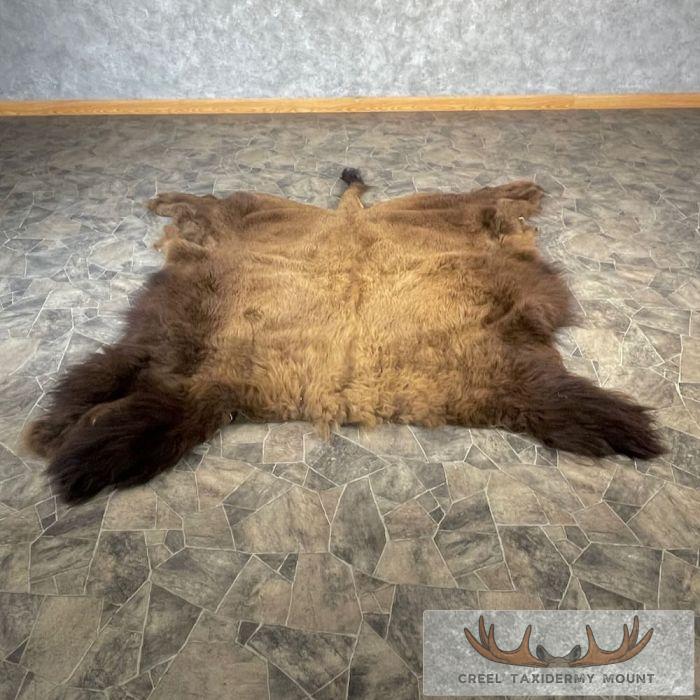 American Buffalo (Bison) Taxidermy Hide For Sale