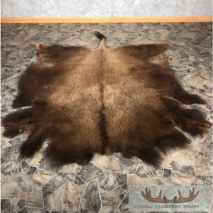 Buffalo Hide (Bison) Taxidermy Skin Hide For Sale