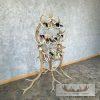 Elk and Whitetail Deer Antler Wine Rack For Sale - Image 2