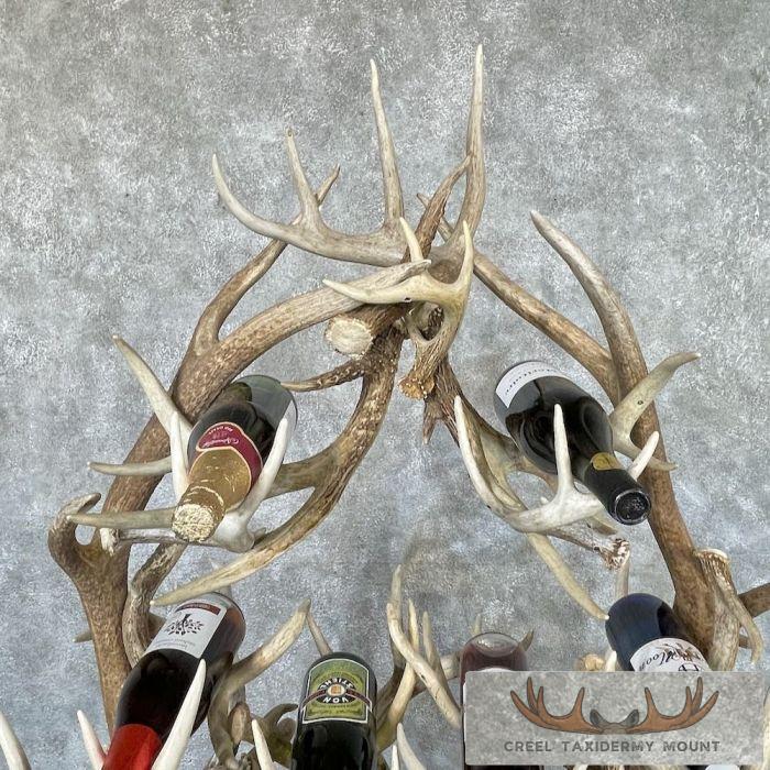 Elk and Whitetail Deer Antler Wine Rack For Sale - Image 3