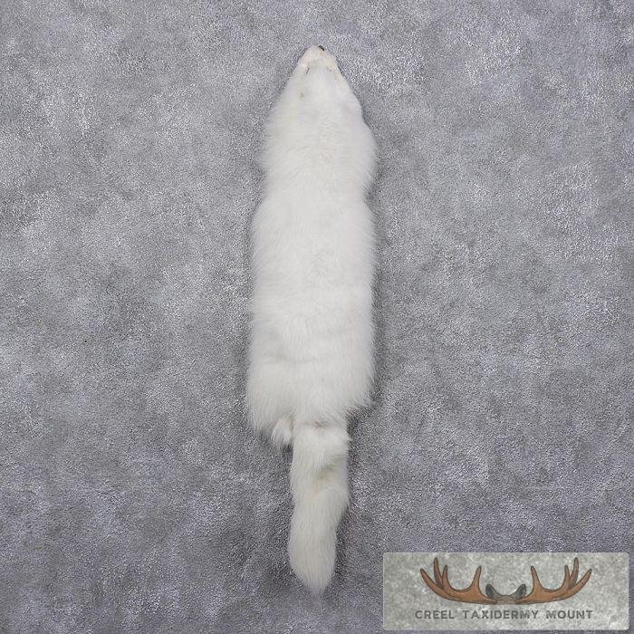 Arctic Fox Fur