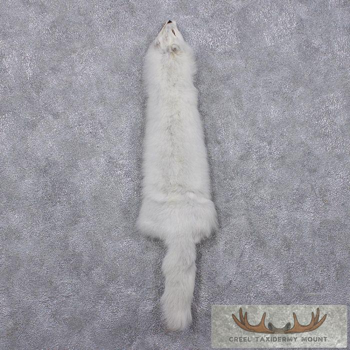 Arctic Fox Fur