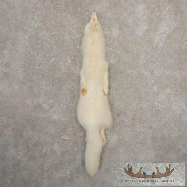 Arctic Fox Tanned Hide For Sale