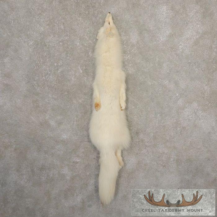 Arctic Fox Tanned Hide For Sale