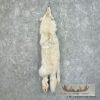 Arctic Wolf Tanned Hide For Sale