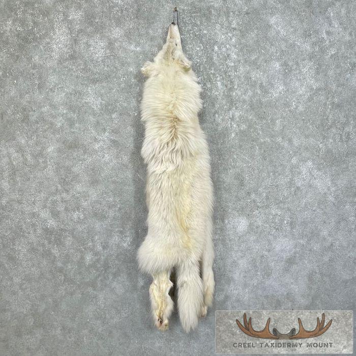 Arctic Wolf Tanned Hide For Sale