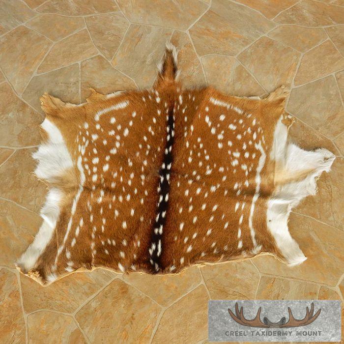 Axis Deer Hide - Creel Taxidermy