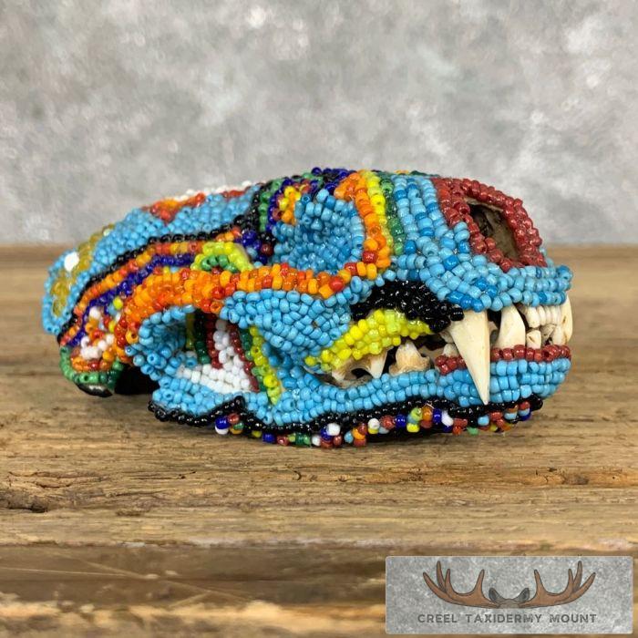 Beaded Otter Skull Taxidermy Mount For Sale