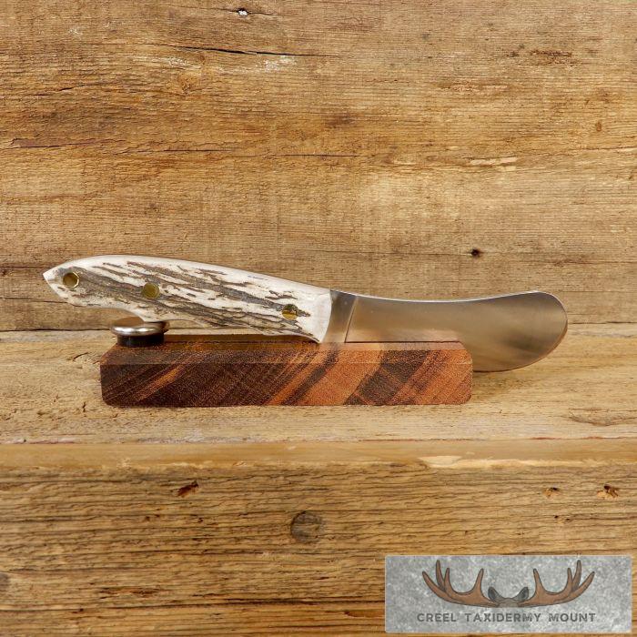 Beavertail Trapper Skinning Knife with Elk Antler Handle For Sale