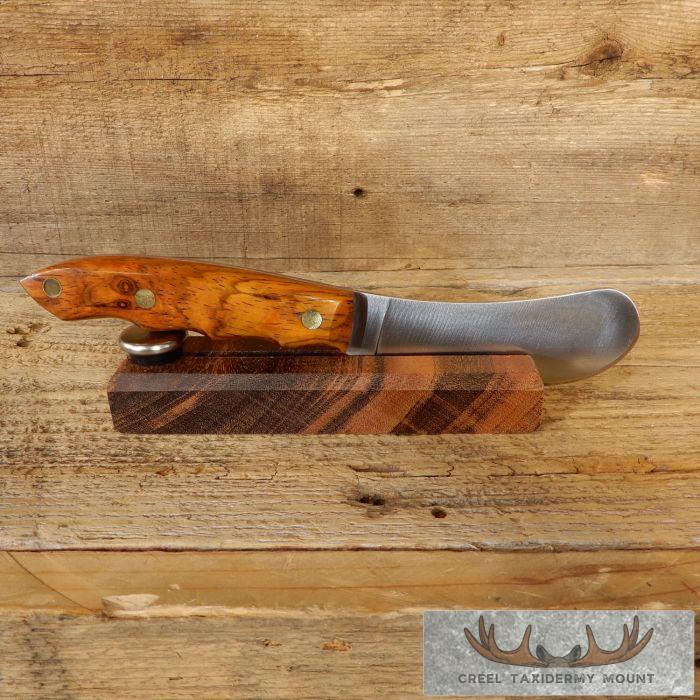 Beavertail Trapper Skinning Knife with Cocobolo Handle For Sale