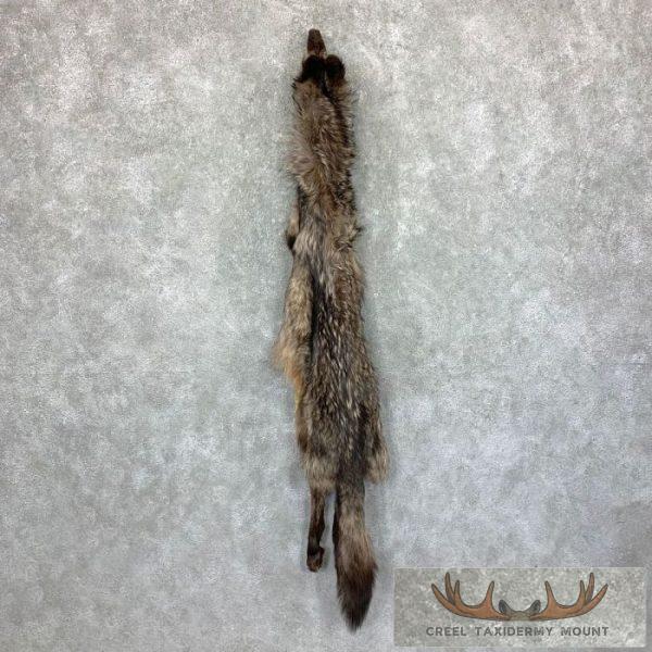 Black Alaskan Wolf Tanned Hide For Sale
