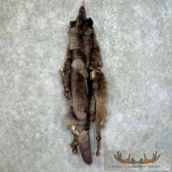 Black Alaskan Wolf Tanned Hide For Sale