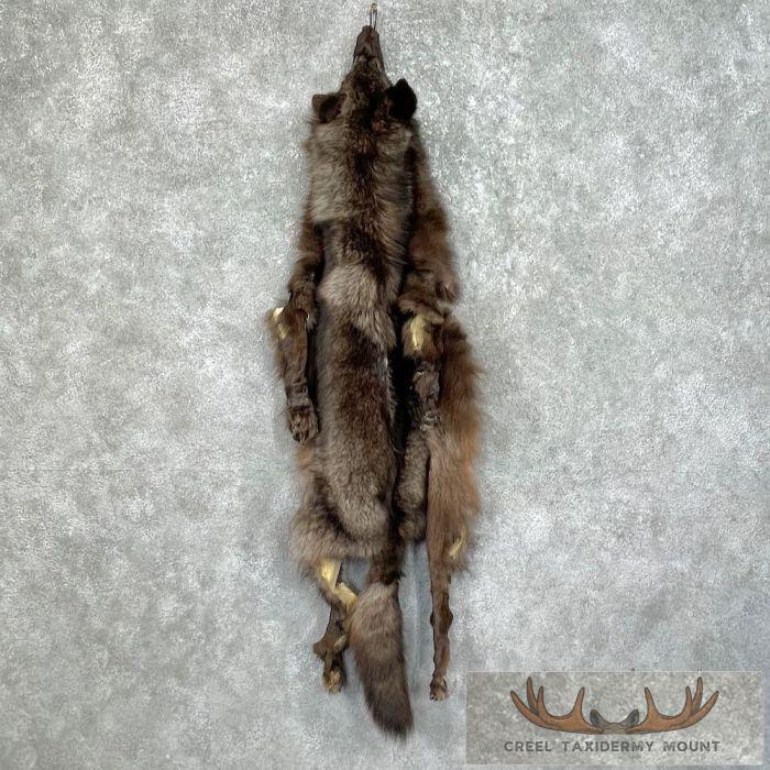 Black Alaskan Wolf Tanned Hide For Sale