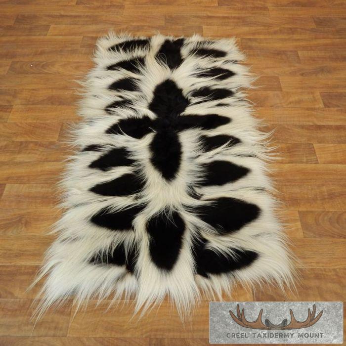 Black and White Colobus Monkey Taxidermy Mount Rug