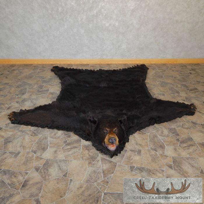 Black Bear Full-Size Taxidermy Rug For Sale