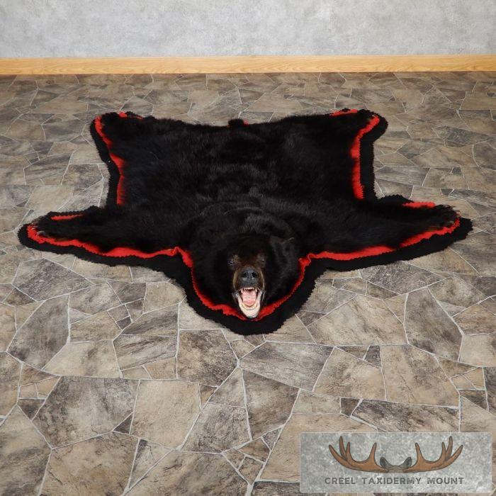 Black Bear Full-Size Taxidermy Rug For Sale
