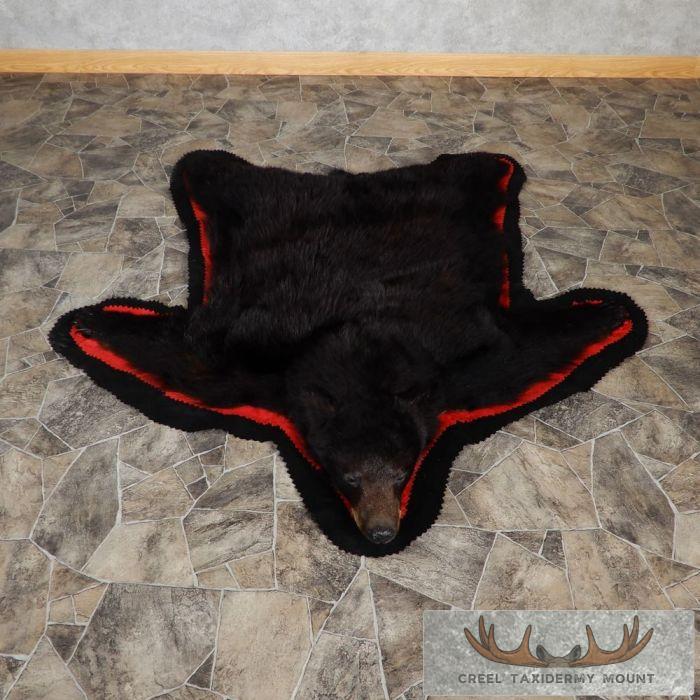 Black Bear Full-Size Taxidermy Rug For Sale