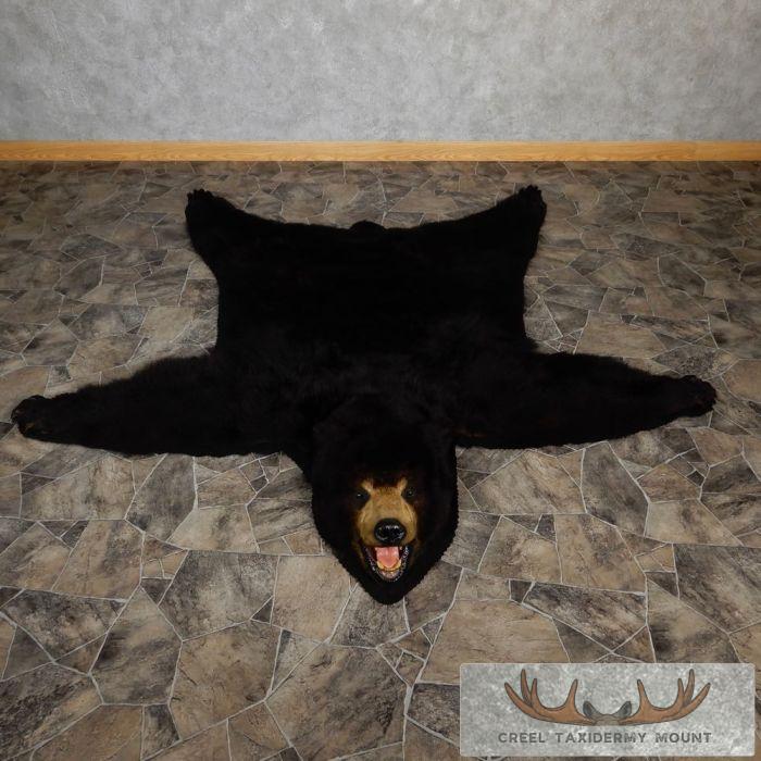 Black Bear Full-Size Taxidermy Rug For Sale