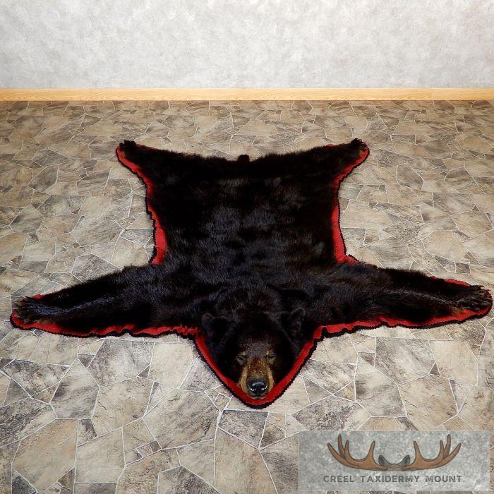 Black Bear Full-Size Taxidermy Rug For Sale