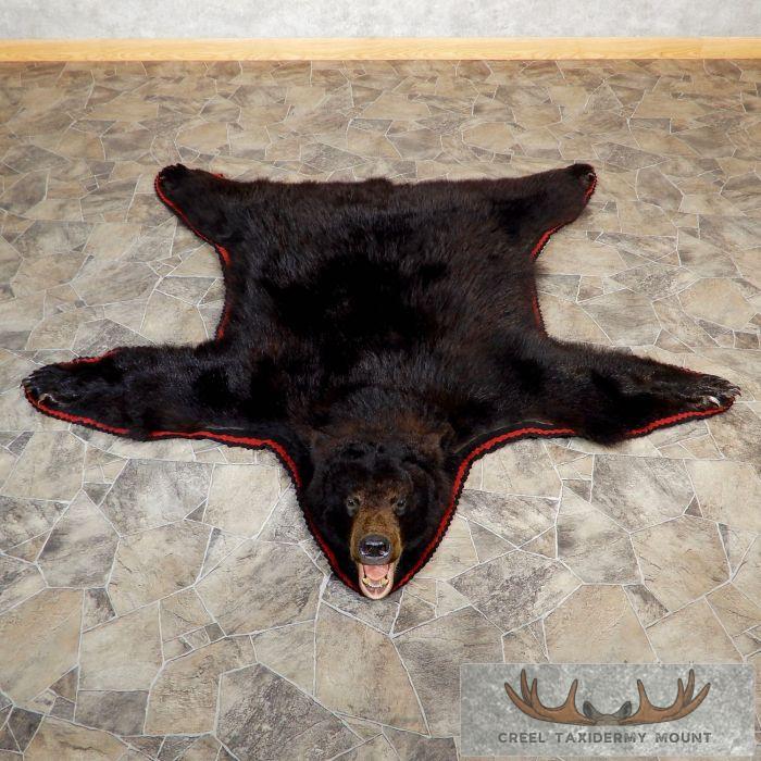 Black Bear Full-Size Taxidermy Rug For Sale