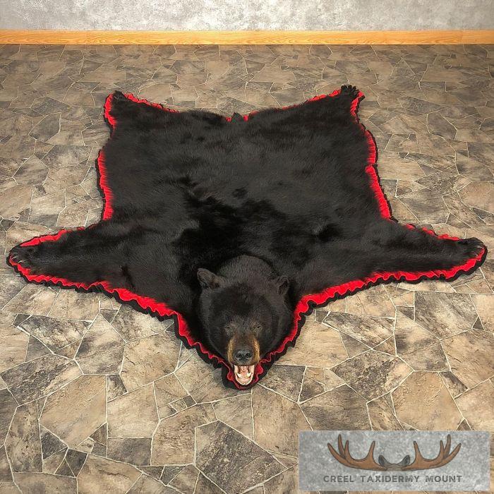 Black Bear Full-Size Taxidermy Rug For Sale
