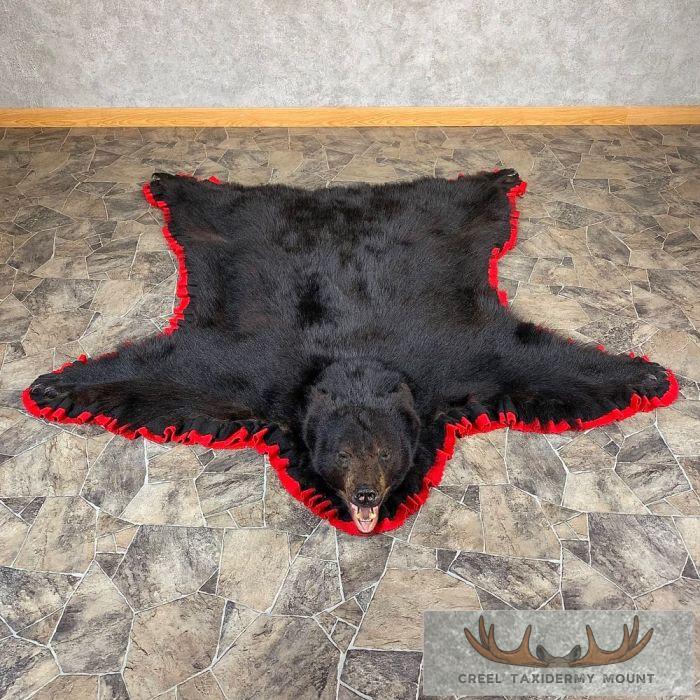 Black Bear Full-Size Taxidermy Rug For Sale
