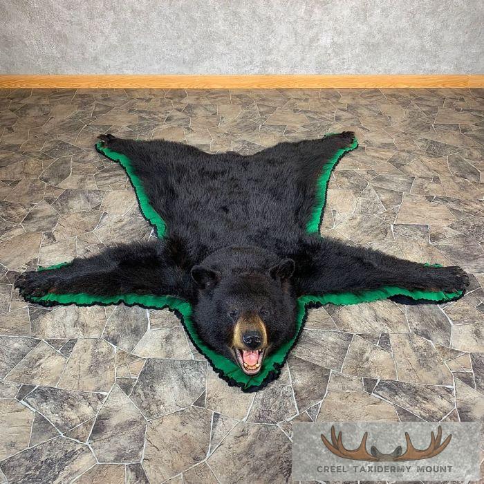 Black Bear Full-Size Taxidermy Rug For Sale