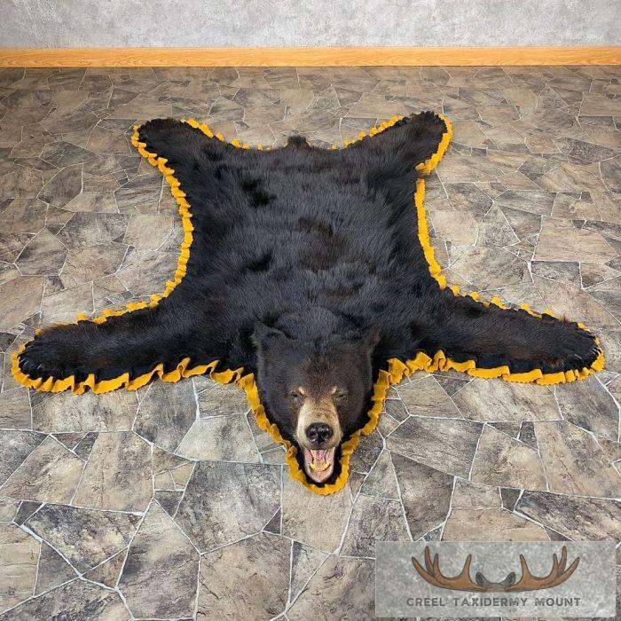 Black Bear Full-Size Taxidermy Rug For Sale