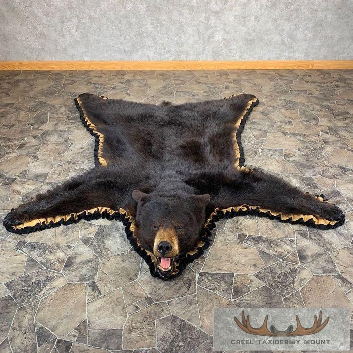 Black Bear Full-Size Taxidermy Rug For Sale