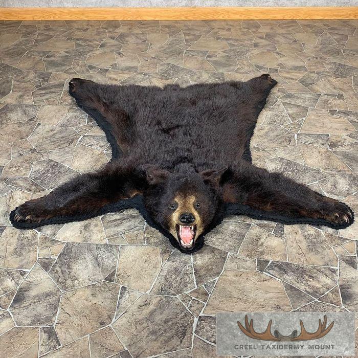 Black Bear Full-Size Taxidermy Rug Mount For Sale