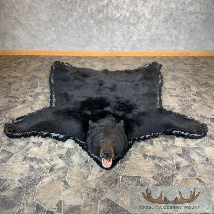 Black Bear Full-Size Taxidermy Rug For Sale
