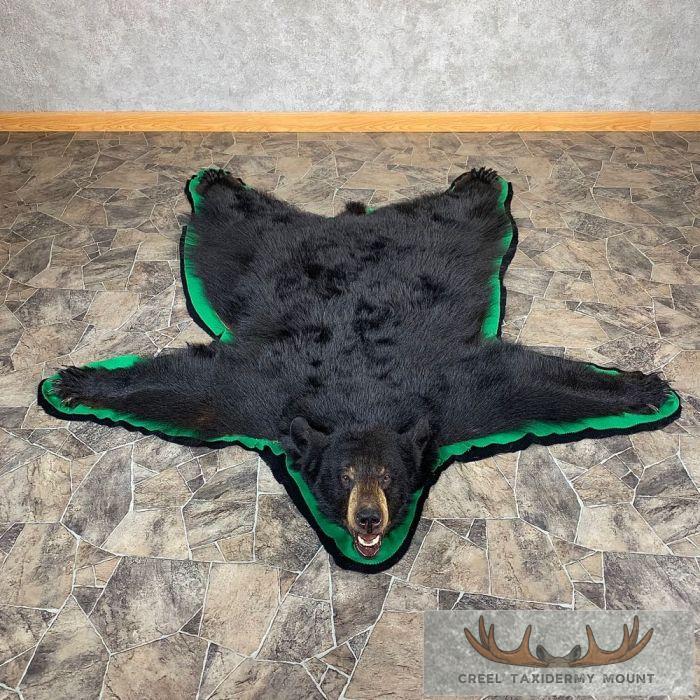 Black Bear Full-Size Taxidermy Rug For Sale