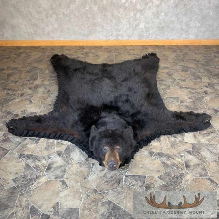 Black Bear Full-Size Taxidermy Rug For Sale