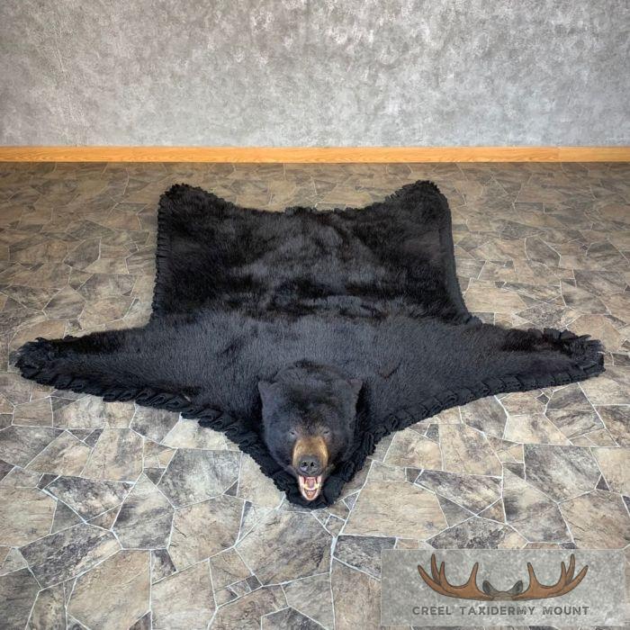 Black Bear Full-Size Taxidermy Rug For Sale