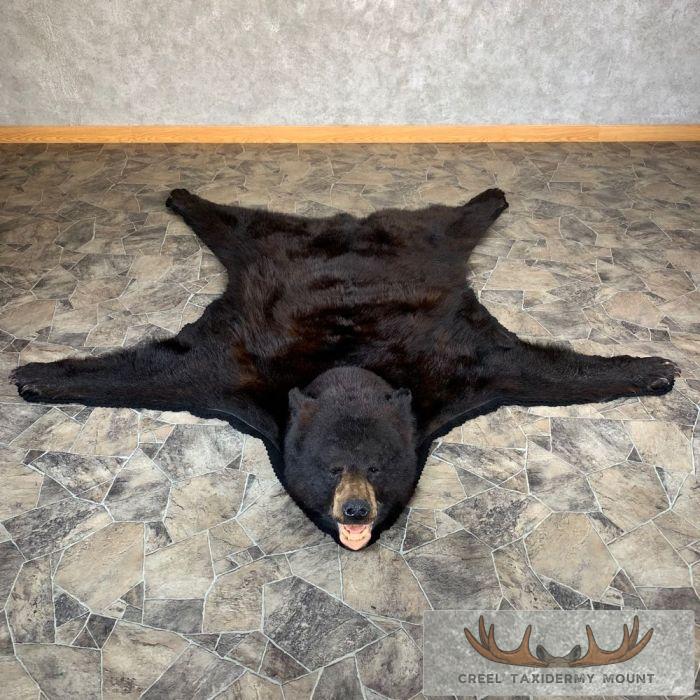 Black Bear Full-Size Taxidermy Rug For Sale