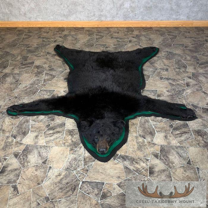 Black Bear Full-Size Taxidermy Rug Mount For Sale