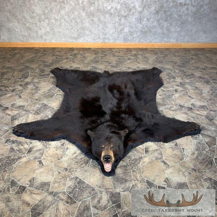 Black Bear Full-Size Taxidermy Rug For Sale