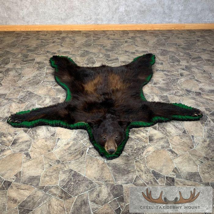 Black Bear Full-Size Taxidermy Rug For Sale