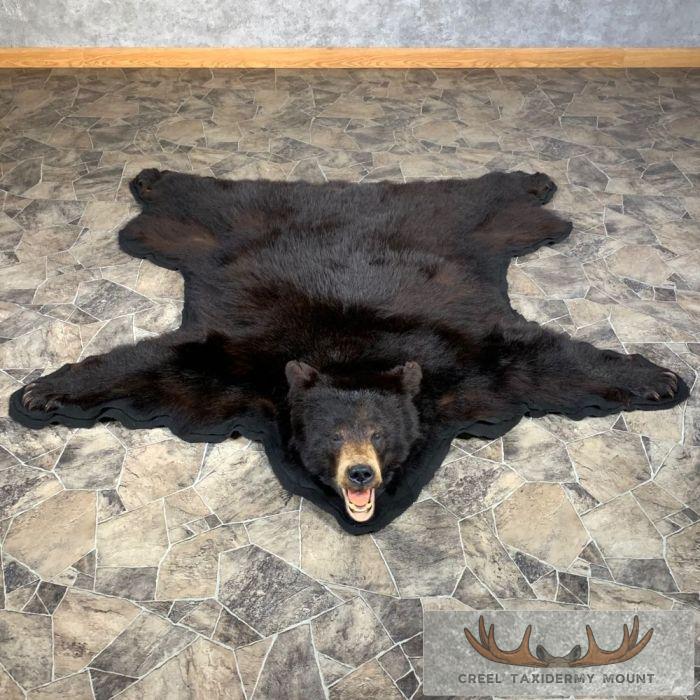 Black Bear Full-Size Taxidermy Rug For Sale