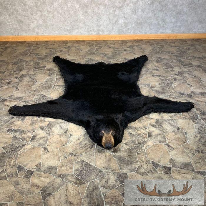Black Bear Full-Size Taxidermy Rug For Sale