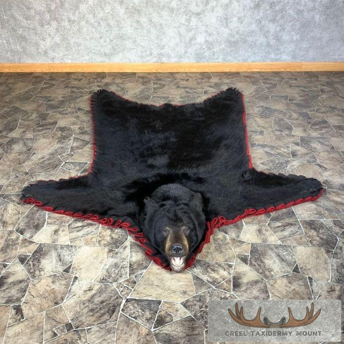 Black Bear Full-Size Taxidermy Rug For Sale