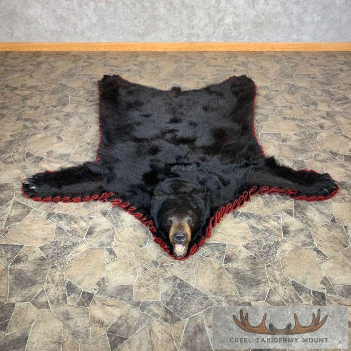Black Bear Full-Size Taxidermy Rug For Sale