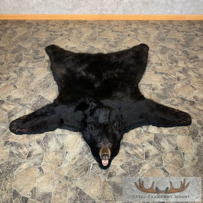 Black Bear Full-Size Taxidermy Rug For Sale