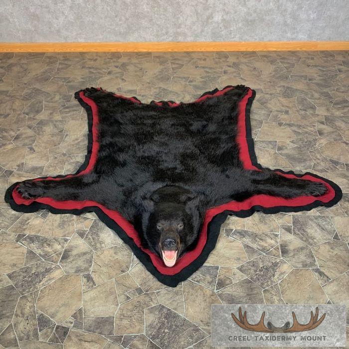 Black Bear Full-Size Taxidermy Rug For Sale
