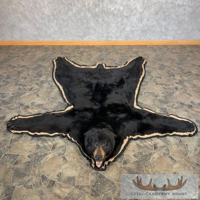 Black Bear Full-Size Taxidermy Rug For Sale
