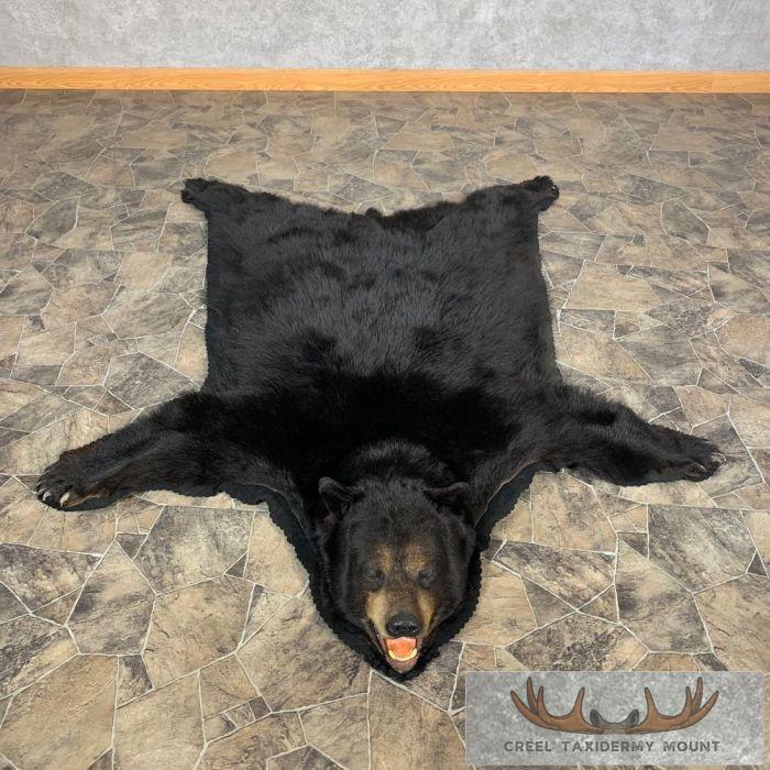 Black Bear Full-Size Taxidermy Rug For Sale