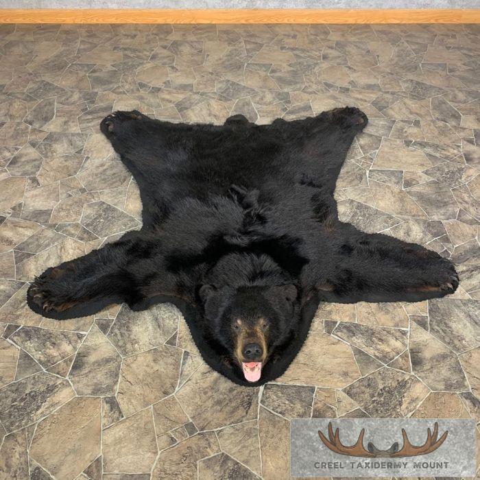 Black Bear Full-Size Taxidermy Rug For Sale